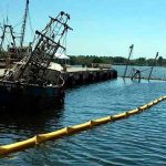 Hay que Cuidar el Impacto Ambiental con el Desarrollo de la ZEE Puerto Chiapas: ENCO