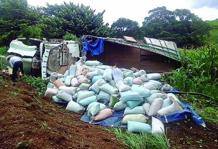 Volcó Tráiler Cargado de Pollinaza Periódico El Orbe