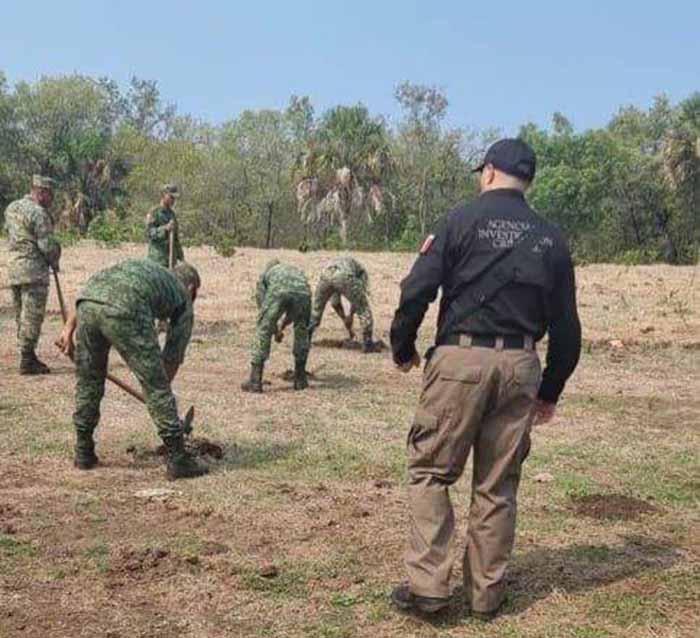 SEDENA Detecta Y Asegura Pista De Aterrizaje Clandestina En Pijijiapan