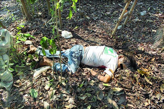 Abuelito Muere al Caer de un Árbol