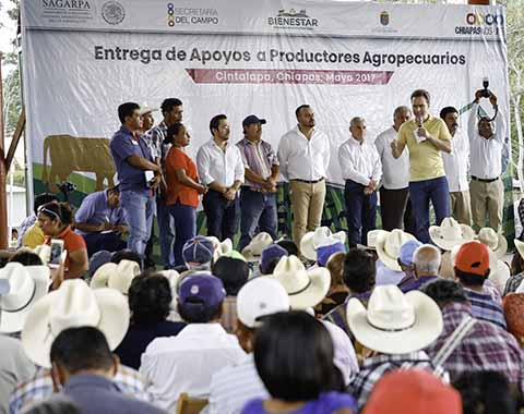 El mandatario estatal entregó apoyos a mil 153 productores de Cintalapa para reactivar más de 845 hectáreas; también inauguró la rehabilitación del Cobach 166.