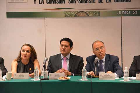 El diputado federal por Chiapas Enrique Zamora Morlet, destaca propuestas en la reunión de Comisiones para el Desarrollo de los Estados del Sur Sureste de México.