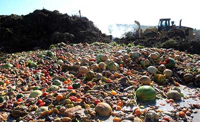 México Desperdicia una Tercera Parte de los Alimentos que Produce al Año