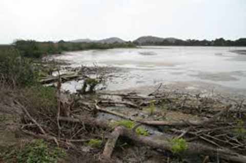 Urgimos Intervengan Autoridades por Destrucción de Manglares en Reserva Ecológica el Gancho Murillo: DL