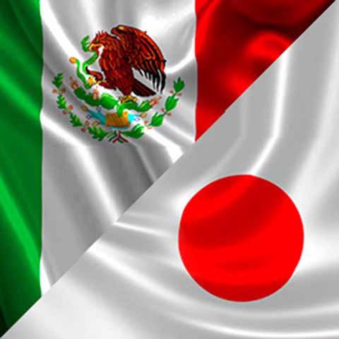 México y Japón Investigan Probable Gran Sismo en Brecha de Guerrero.