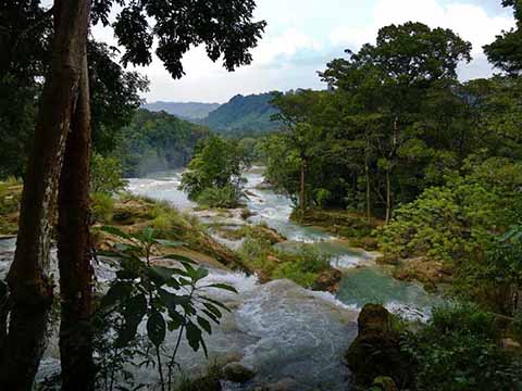 Invertirán 5 mdp Para Reforestar Cascadas de Agua Azul