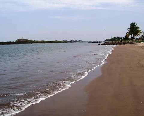 Declara COFEPRIS Limpias y Seguras 267 a Playas del País