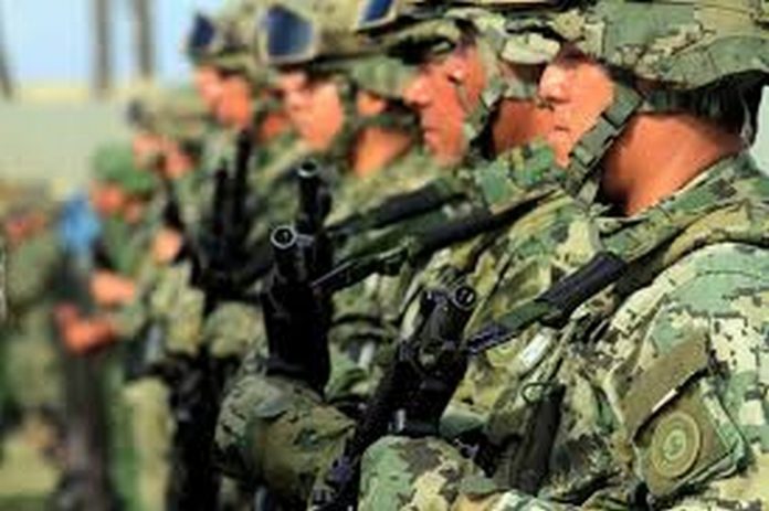 Fuerzas Federales y Armadas en Tareas de Defensa y Preservación de la Paz Pública