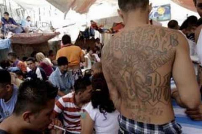 El Gobierno de Guatemala dio a conocer los resultados obtenidos en los operativos contra las pandillas durante 2017, donde se aseguraron a casi mil integrantes de la Mara Salvatrucha 13 y Barrio 18. Por su parte, el Cocoparci alentó a las autoridades mexicanas a redoblar la vigilancia en el centro y diversas colonias de la ciudad.