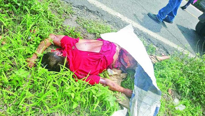 Motociclista Muere Atropellado en la Carretera