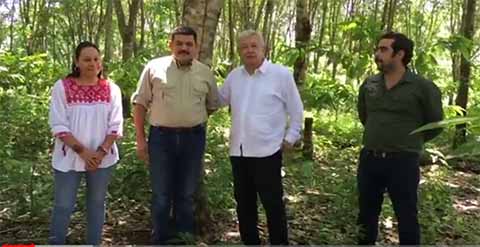 AMLO Anuncia la Siembra de 1 Millón Árboles Frutales y Maderables en la Selva Lacandona