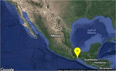 Se Registra Sismo de 4.8 Grados en Oaxaca