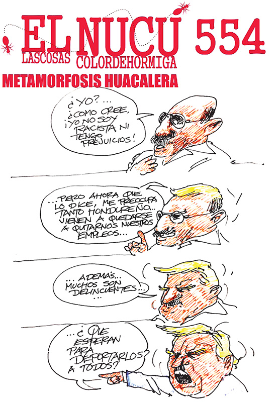 METAMORFOSIS HUACALERA