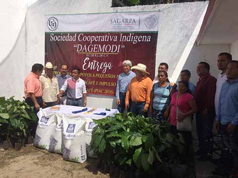 Entregan Insumos a Cafeticultores de Cacahoatán y Unión Juárez