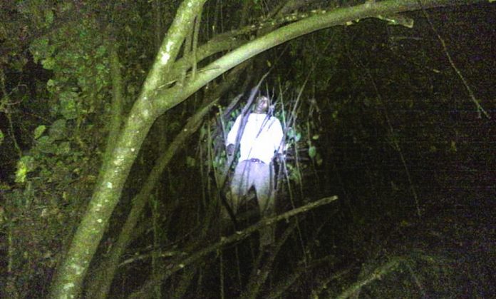 Localizan a Joven Ahorcado en un árbol de Coahulote