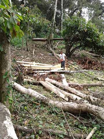 Autoridades Apáticas al Ecocidio Generado en la Zona Media Alta de Tapachula