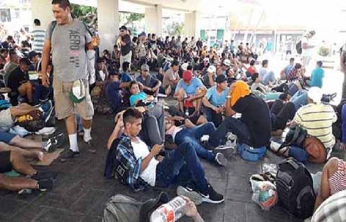 Miles de Migrantes Burlan Vigilancia Avanzan en Tren al Centro del País