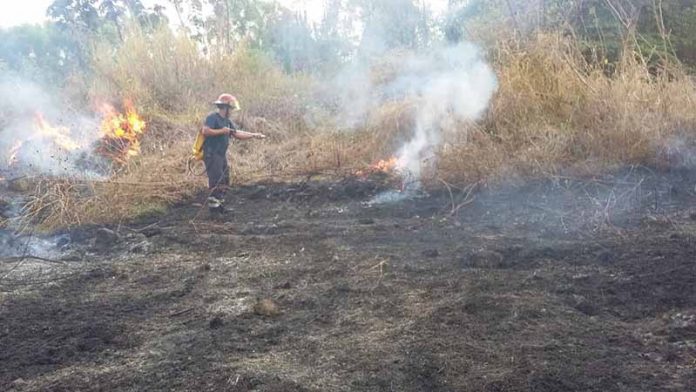 Se Incrementan Incendios de Pastizales por Altas Temperaturas en Tapachula