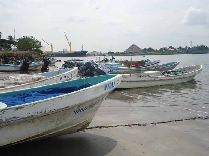 Pescadores de Moluscos de Puerto Madero en Grave Crisis por Marea Roja