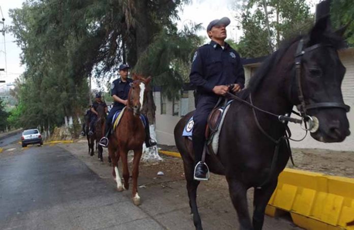 Proponen Conformar Nuevamente la Policía Montada en Tapachula