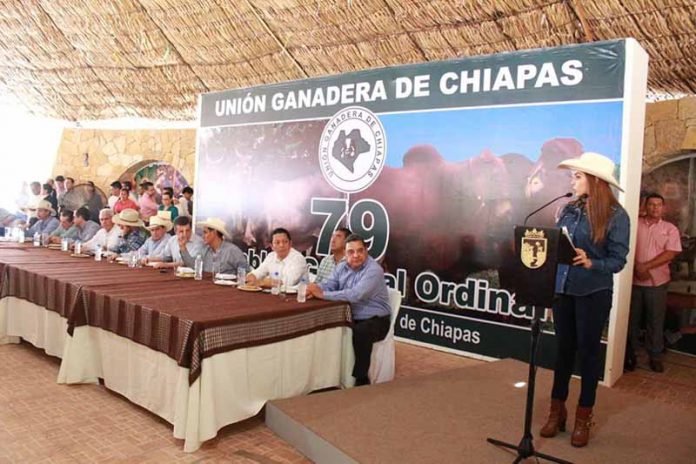 Estrecha SAGyP Esfuerzos Para Fortalecer la Producción Ganadera en Chiapas