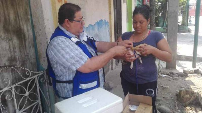 Impulsan Colonos y Salud Vacunación Antirrábica en el Centro de Tapachula
