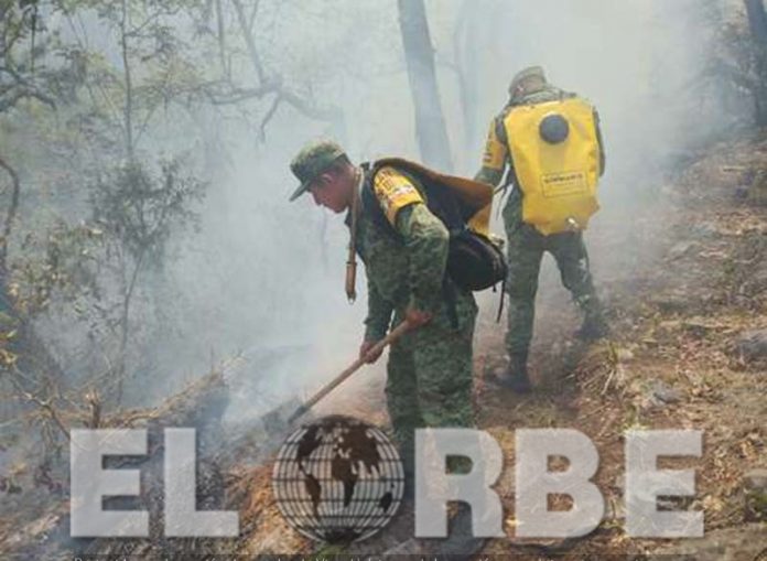 Consumen 288 mil Hectáreas 5 mil 622 Incendios Forestales en 2019