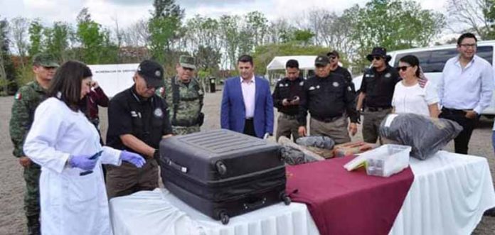 Incineran Droga Decomisada en Chiapas