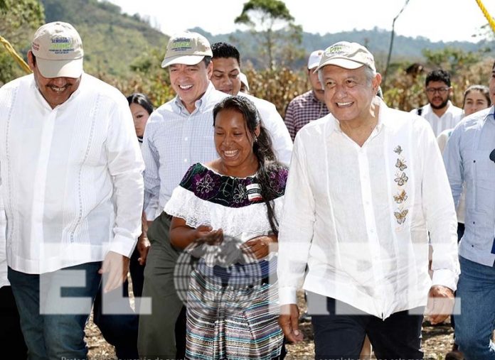 El Presidente de la República y el Gobernador del Estado se reunieron con beneficiarios del Programa “Sembrando Vida”, el cual atiende 522 comunidades y ejidos de la región de Ocosingo.