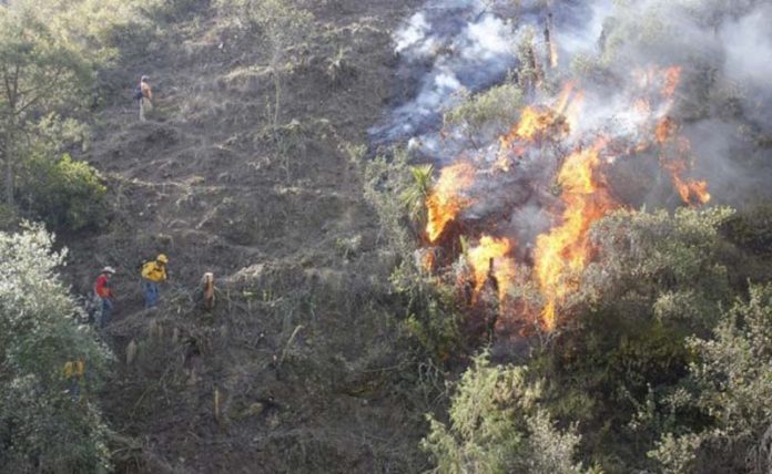 Emiten Declaratoria de Emergencia por Incendios Forestales en Oaxaca