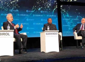 Ingresos Petroleros Pueden Caer 85%: OPEP