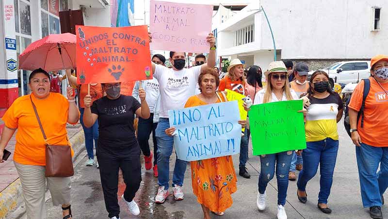 Asociaciones Marchan en Contra del Maltrato Animal en Tapachula | Periódico  El Orbe