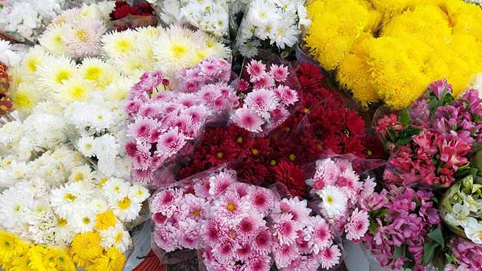 Comerciantes de Flores en Tapachula Esperan Repunte en el Día De Muertos |  Periódico El Orbe