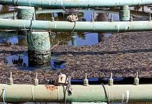 Denuncian Fuerte Contaminación en Fuentes del Parque Central “Miguel Hidalgo”