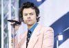 Netflix Transmitirá Concierto de Harry Styles