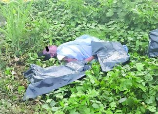 Muere Presuntamente Mordido por una Serpiente