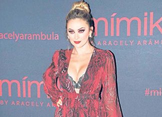 Aracely Arámbula Está Molesta por Difundir Imagen de su Hijo