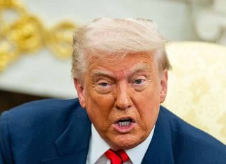 Trump Endurece su Enfrentamiento con Canadá por Imposición de Aranceles