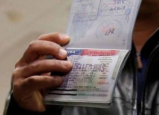 Trump Propone Cobrar más de 100 mil Dólares por las Visas de Trabajo